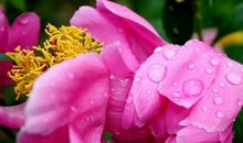 下一个春天_300字