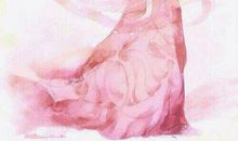 你有没有资格被叫做 灰姑娘_900字