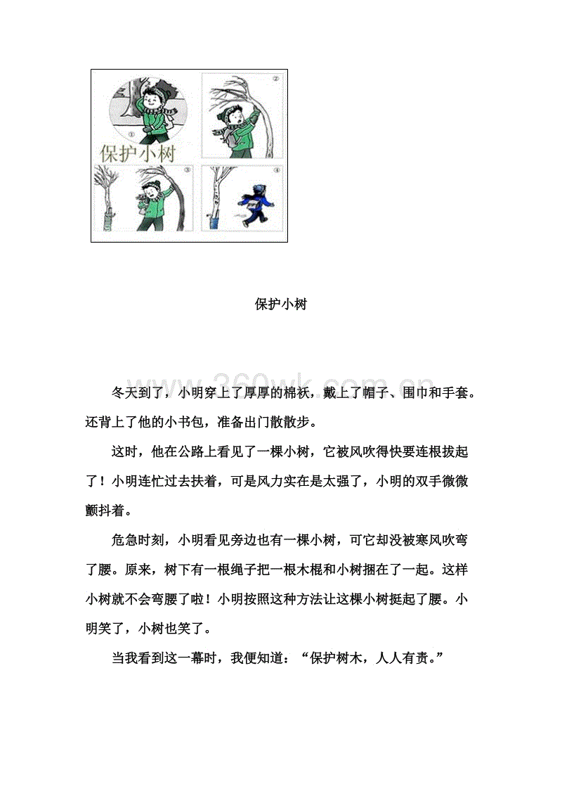 保护一棵小树_350字