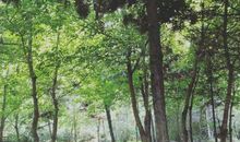 亲亲我的宝贝_800字