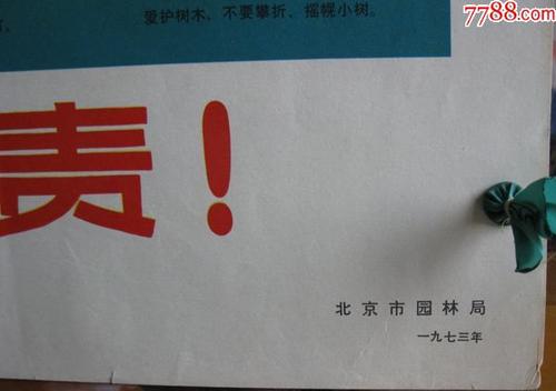 人人有责保护树木_750字