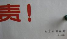 保护树木人人有责_750字