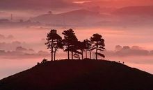 镜子中的面子_1500字