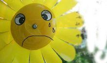 委屈的滋味_550字