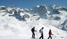 这里也有风景_800字