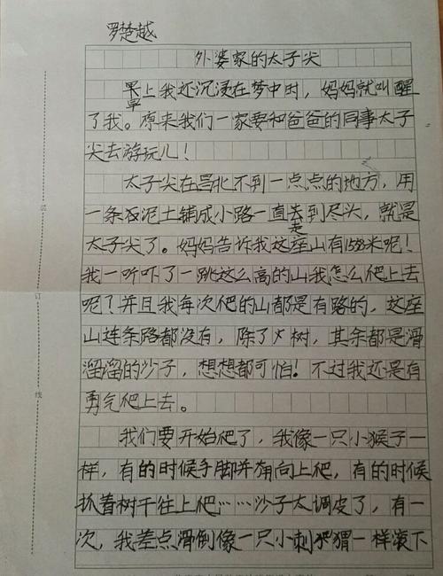 关于奶奶的作文：奶奶看到“奇怪的事物” _650个单词