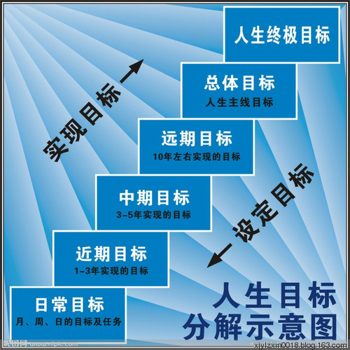 我的生活设计（1）_500字
