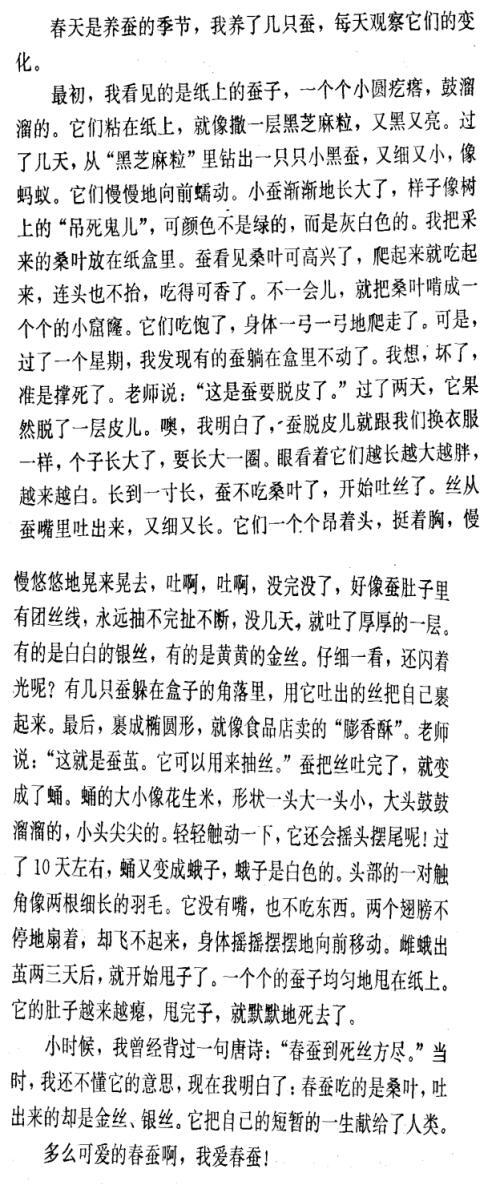 第一件事的组成：花木树_500个单词