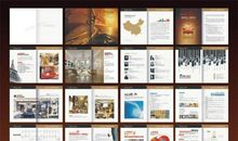 心爱的画册_600字