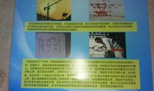 给环保局局长的一封信_550字