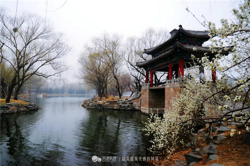 我站在颐和园_600字
