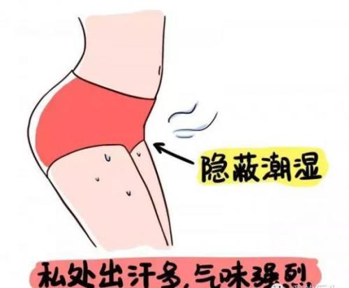谎言肉专家_350字