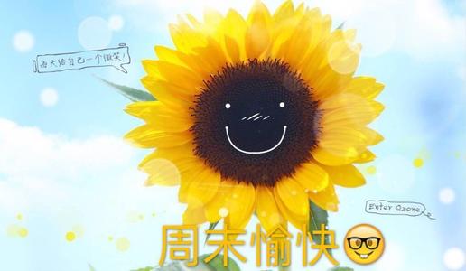 那一缕阳光温暖了我800字