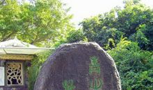 老子天下第一_800字