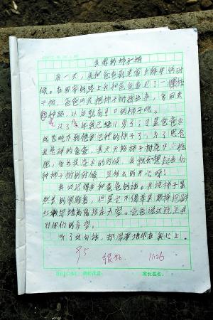 关于奶奶的成分：我想到了奶奶的老脸_1200字