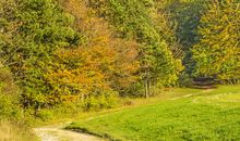 被温暖照亮_550字