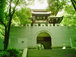 四个季节轻轻地过去了我们900个字