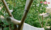 大雨中的温暖_800字