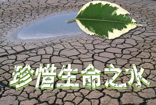 珍惜每一滴水_2000字