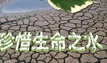 珍惜每一滴水源_2000字