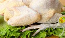 聪明的老母鸡_400字