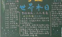 世界水日历届主题_900字