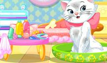 小猫和小兔的故事_350字