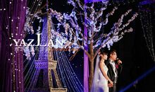 星空下的点滴_500字