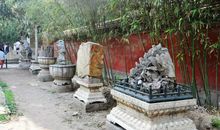 故宫御花园_700字