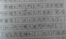 春天的校园_300字