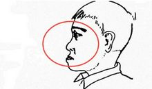 做事不能半途而废_350字