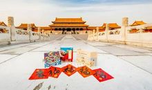 故宫博物院之旅_800字