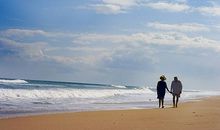 《散步》感动了我_450字