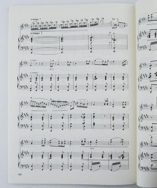 音乐Capriccio_550字