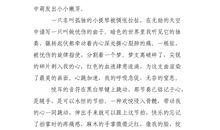 幽默的音乐老师_500字