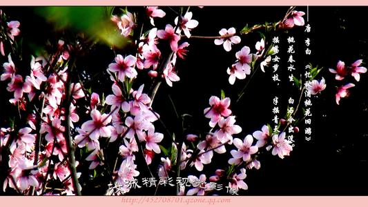 错误的步骤转瞬即逝_550字