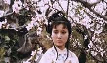 可怜的黛玉_550字