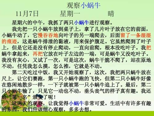 Snail_400单词的启示