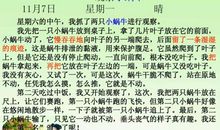 蜗牛的启示_400字