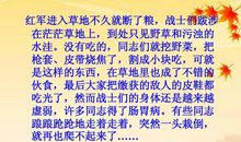 缩写《金色的鱼钩》_300字