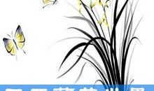 三亚南天门的兰花大世界_400字