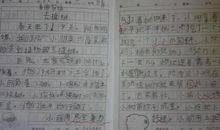 [PK赛]关于印象深刻的一件事的作文：雨中的爱_450字