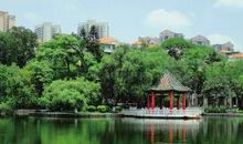 请相信没有什么可以剥夺，我们追求自由的权力_550字