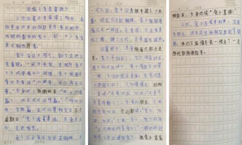 三年级续集，重写和扩展：新版乌龟和野兔组成_500个单词