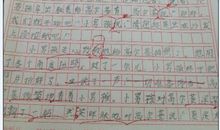 三年级续写改写扩写：续写小摄影师作文_450字