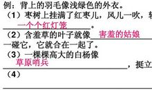 三年级续写改写扩写：《鸡毛信》缩写作文_250字