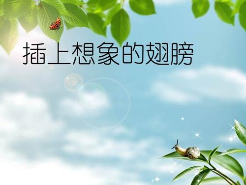 三年级续集，重写并扩展：许愿流星-“卡帕之夏”续集_600字