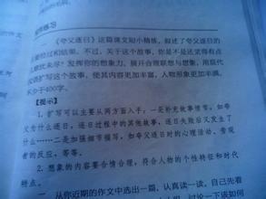 三年级续集，重写和扩展：小木偶续作的故事_550个单词