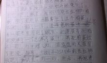 课余生活的日记：一次打工经历_800字