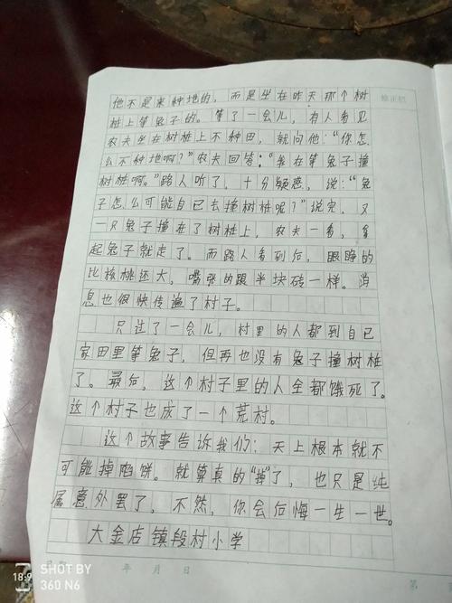 三年级继续，改写和扩展：“待命和等待兔子”的组成继续_300字